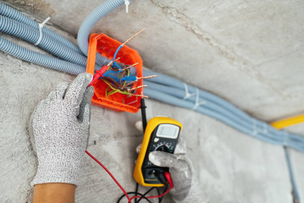 Best Affordable Electrician  in Bradley Gardens, NJ